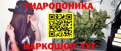 сатива Гусев