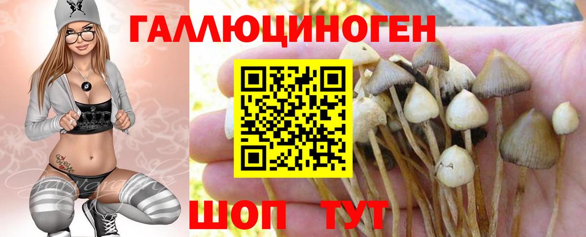 Псилоцибиновые грибы GOLDEN TEACHER Кингисепп